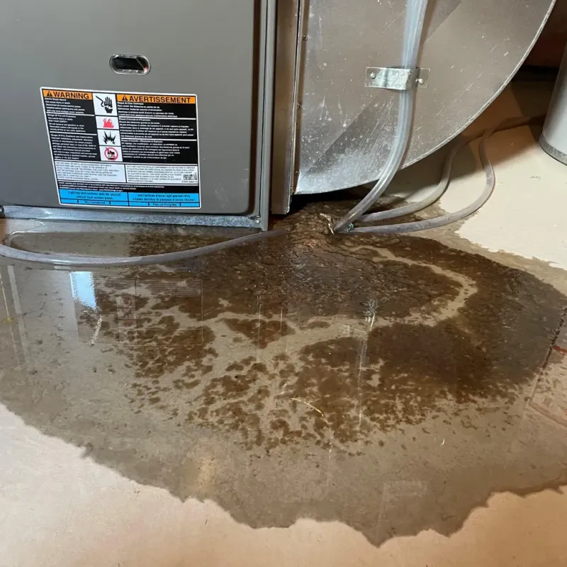 Appliance Leak Cleanup in Northfield, VT